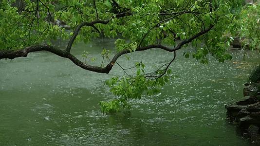 唯美杭州风景古建筑下雨天小溪树枝视频的预览图