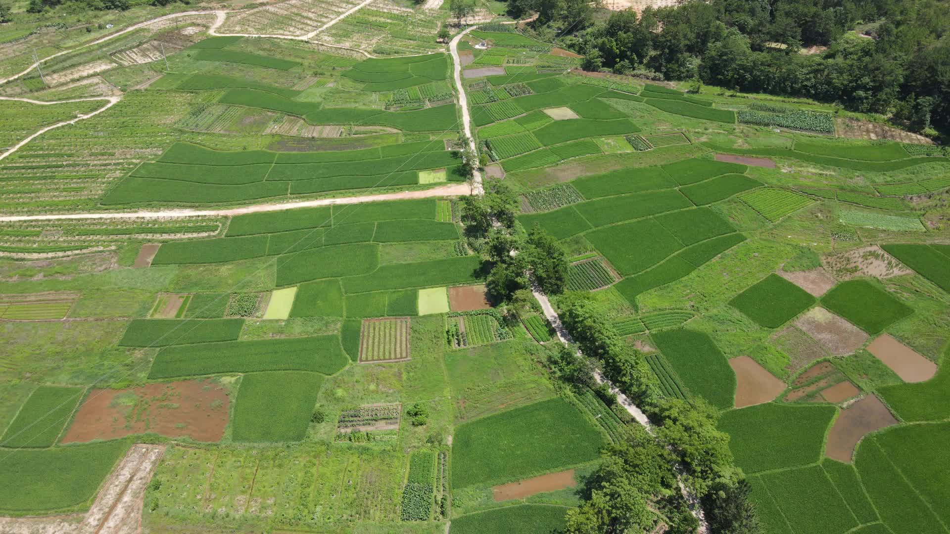 航拍乡村田园农业种植农田视频的预览图