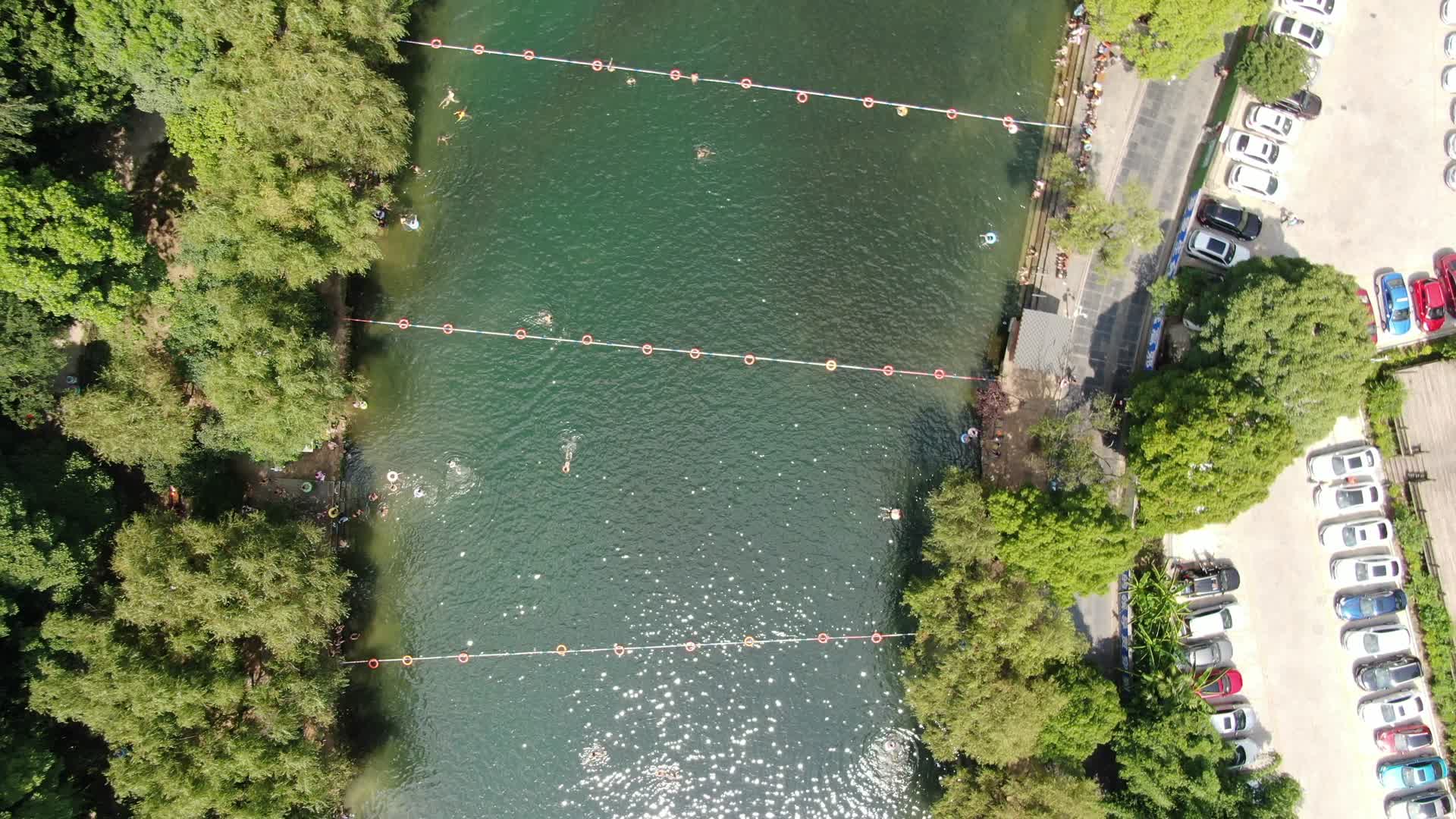 航拍清凉夏日河中游泳锻炼视频的预览图