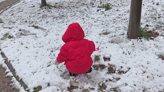 玩雪的红衣女孩视频的预览图