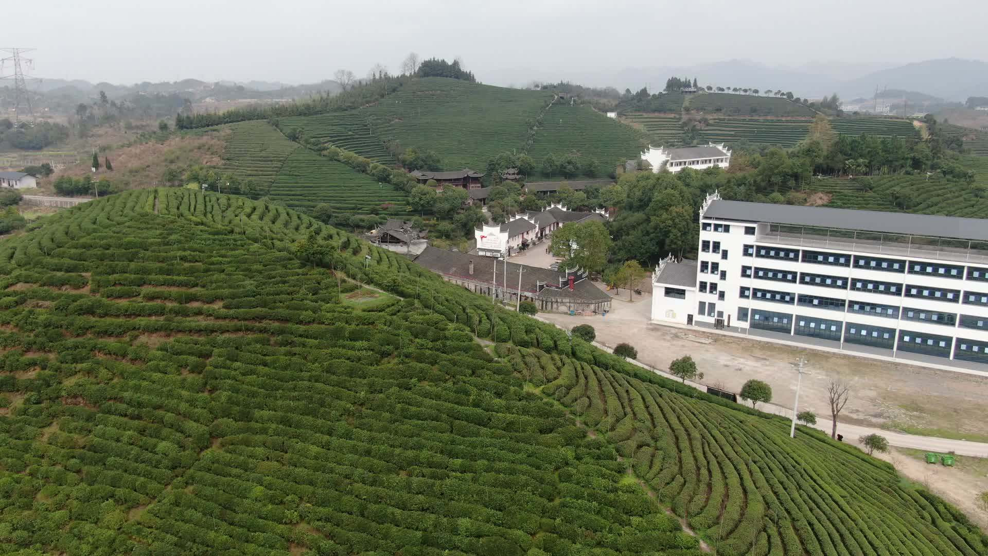 航拍春天茶叶茶园种植视频的预览图