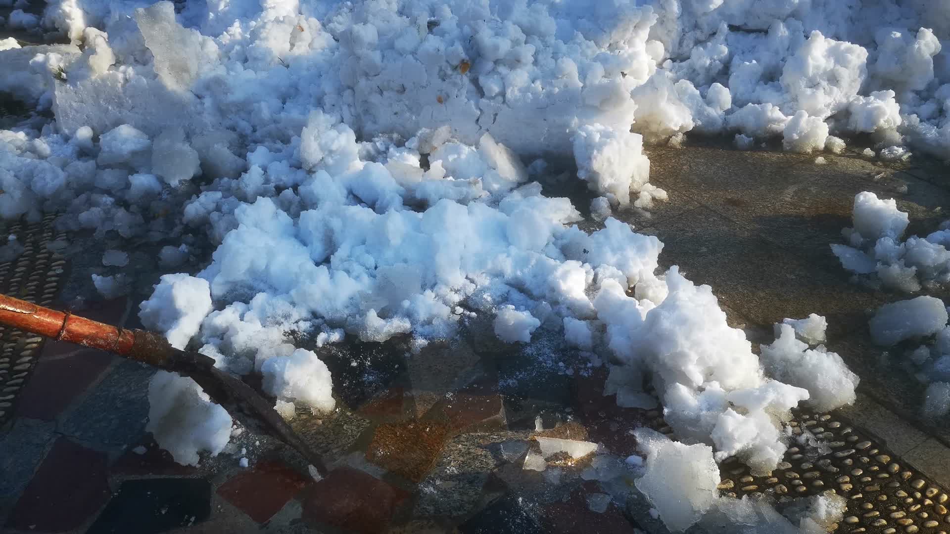 实拍冬天植物雪景视频的预览图