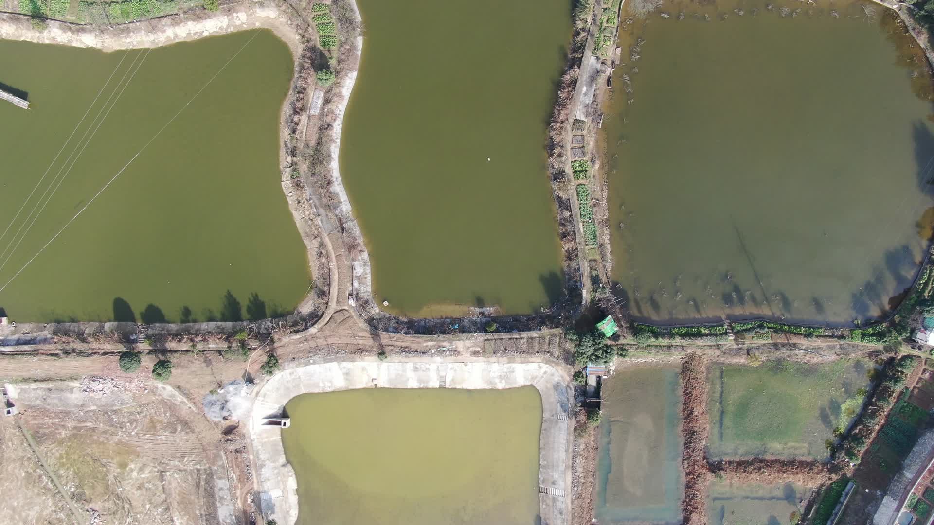 航拍农业养殖鱼塘视频的预览图