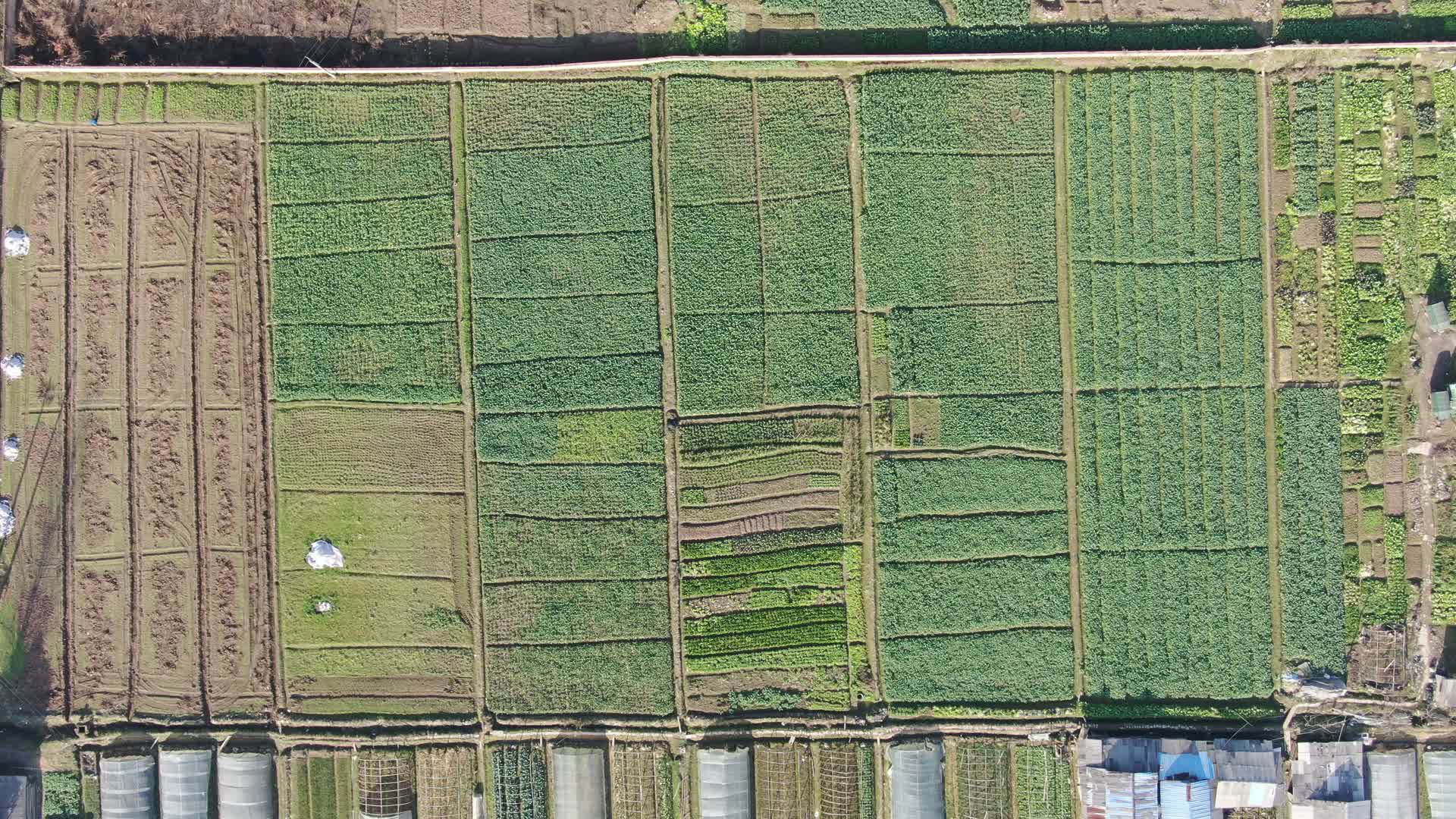 航拍湖南丘陵地貌农业种植农田视频的预览图