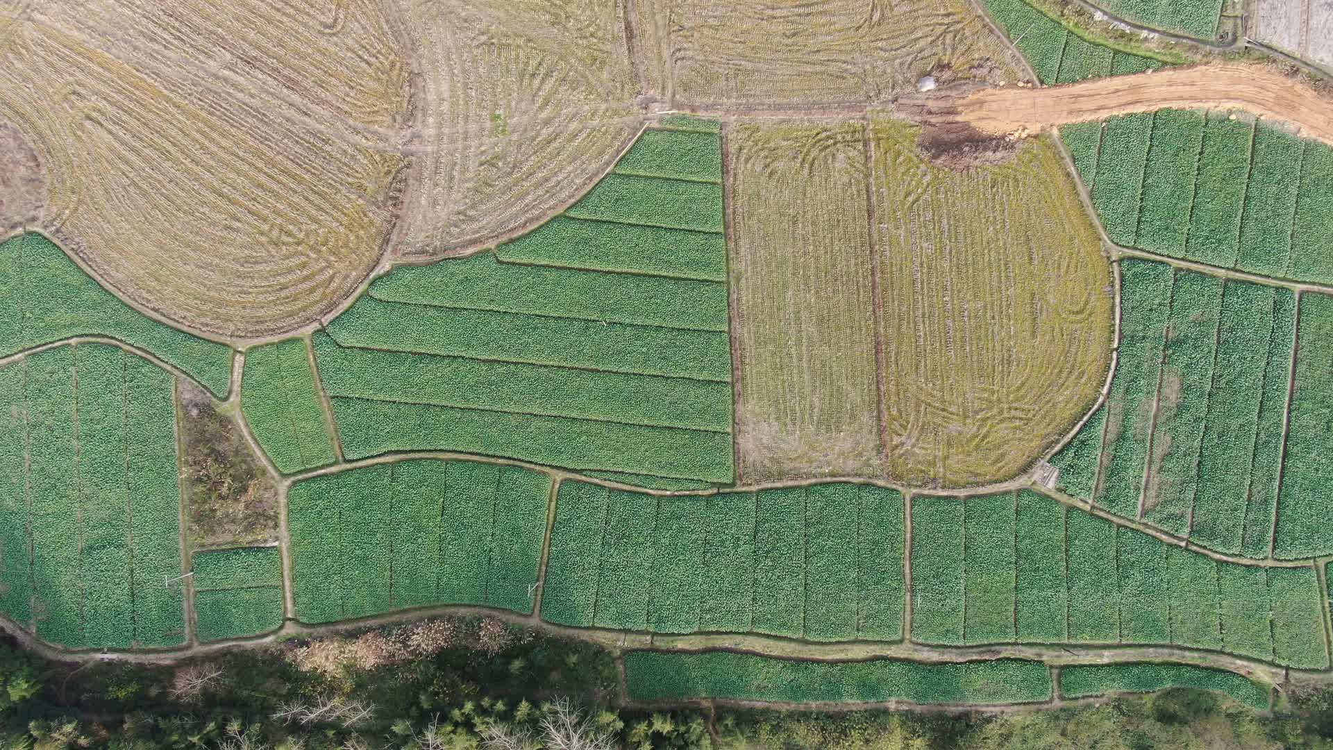 航拍南方春耕农业种植视频的预览图