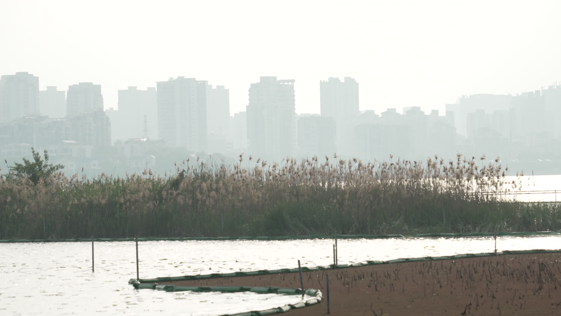 武汉洪山湖滨公园露营钓鱼4K实拍视频视频的预览图
