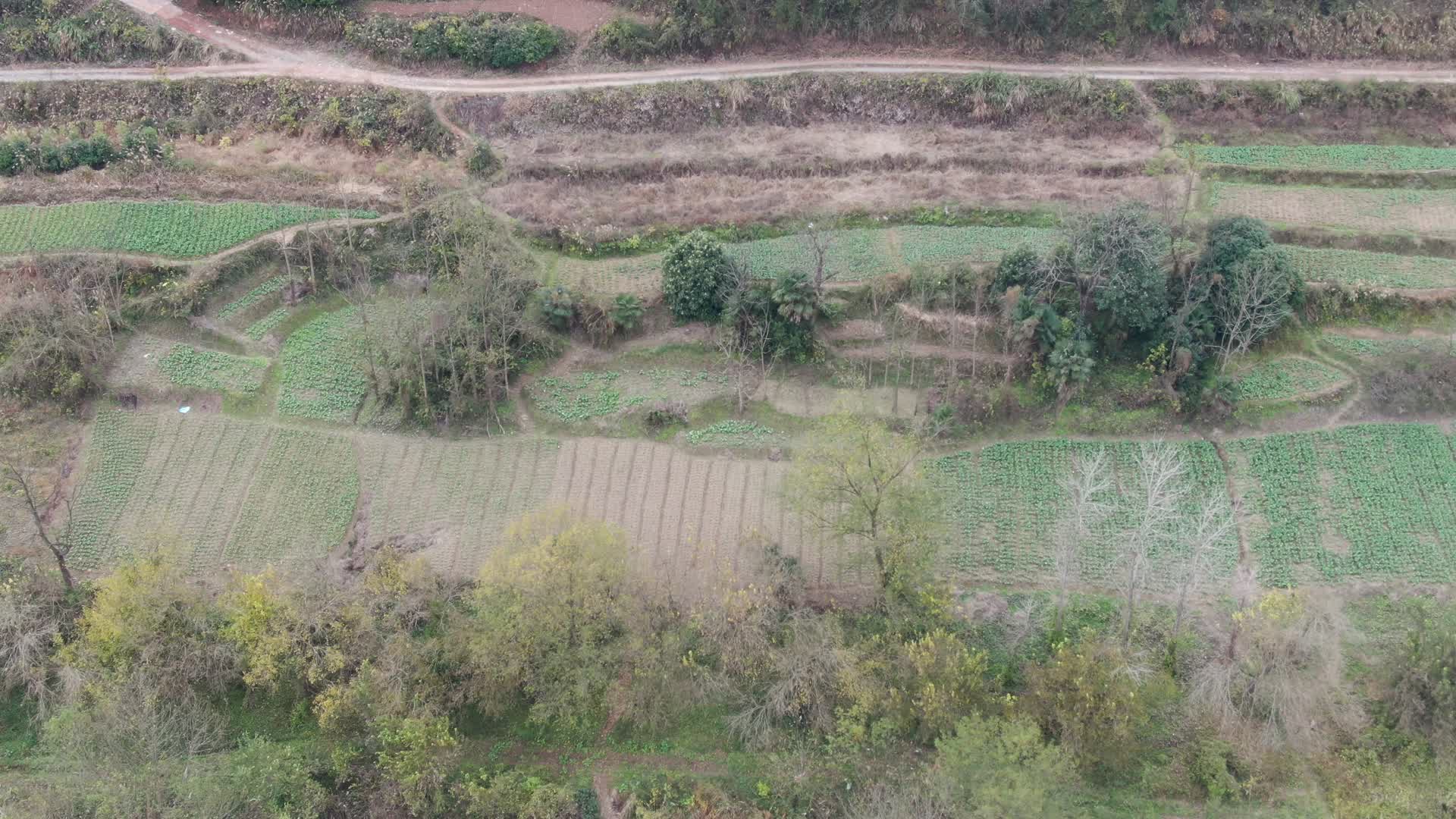 航拍春耕农业种植农作物视频的预览图