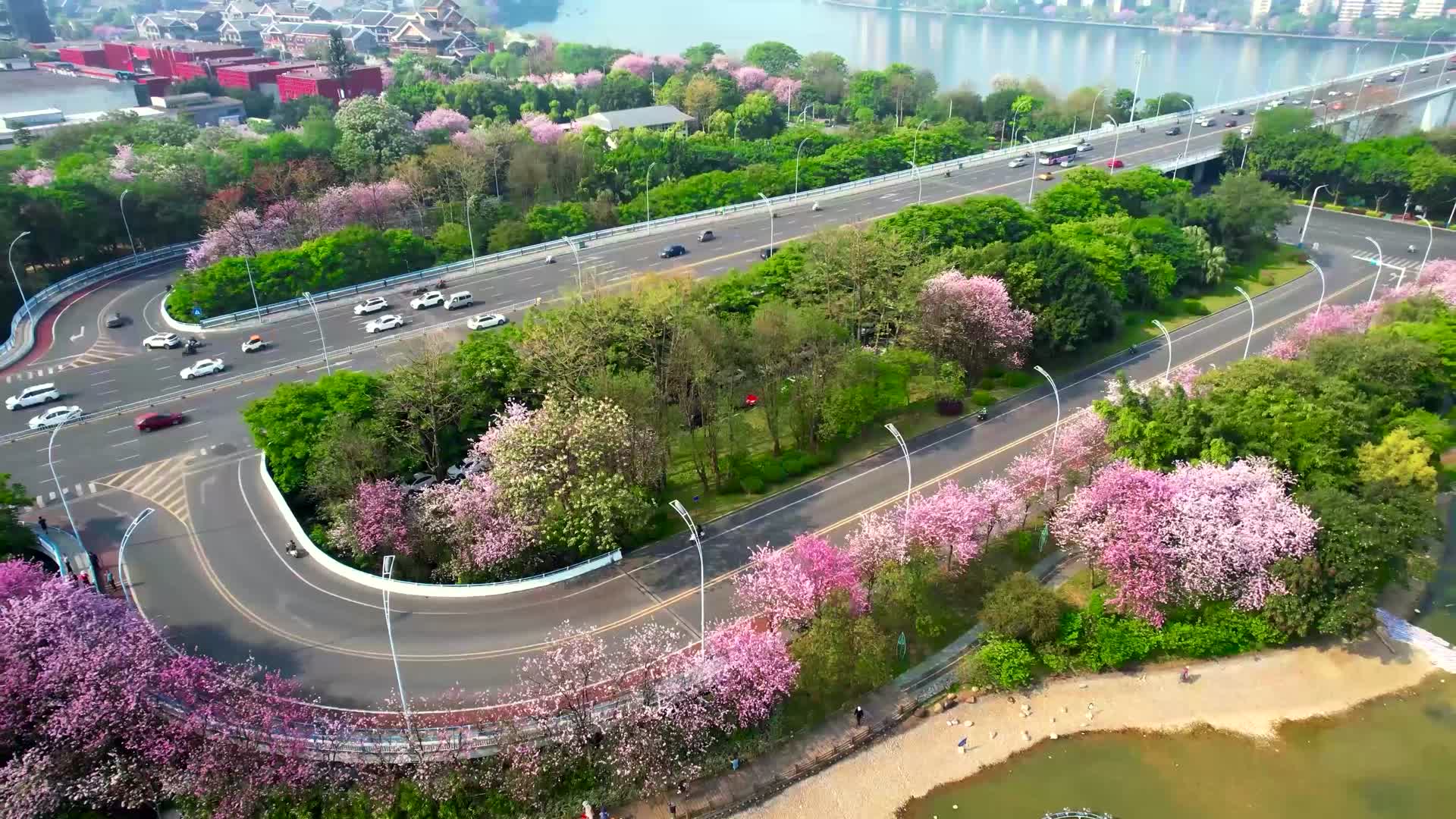 柳州市民广场视频的预览图