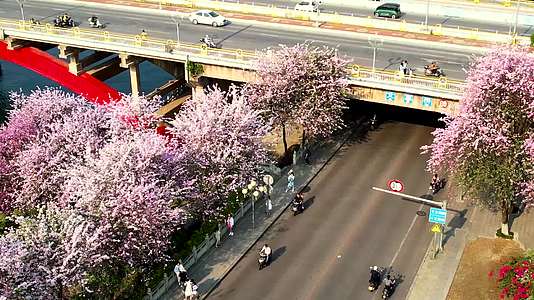 柳州文惠桥视频的预览图