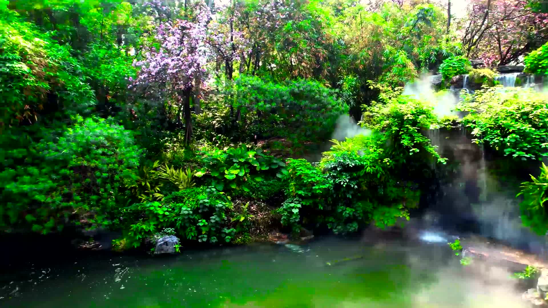 柳州柳候公园视频的预览图