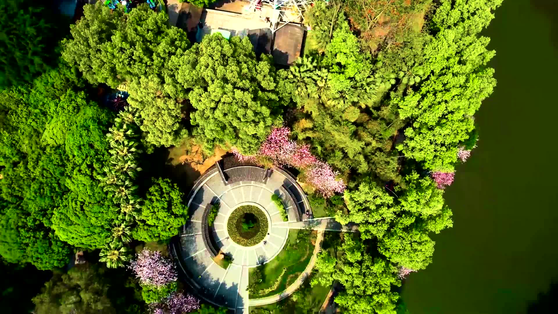 柳州柳候公园视频的预览图