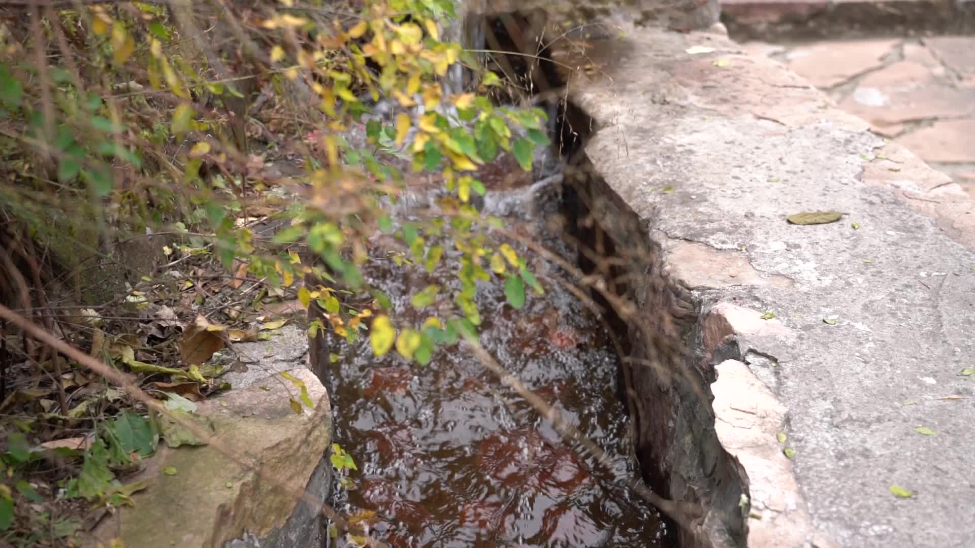 山间溪流视频的预览图