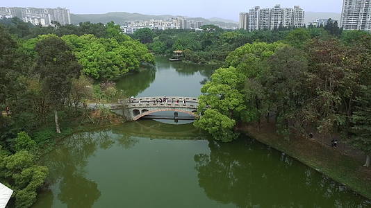 4K航拍华南植物园视频的预览图