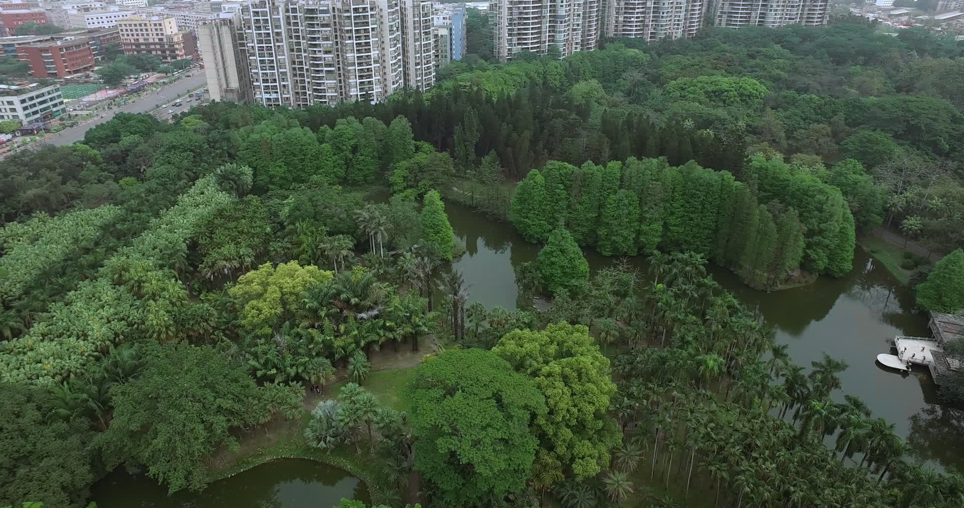 4K航拍华南植物园视频的预览图