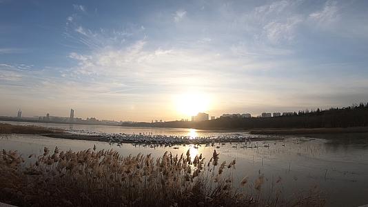 城市湿地的早晨视频的预览图