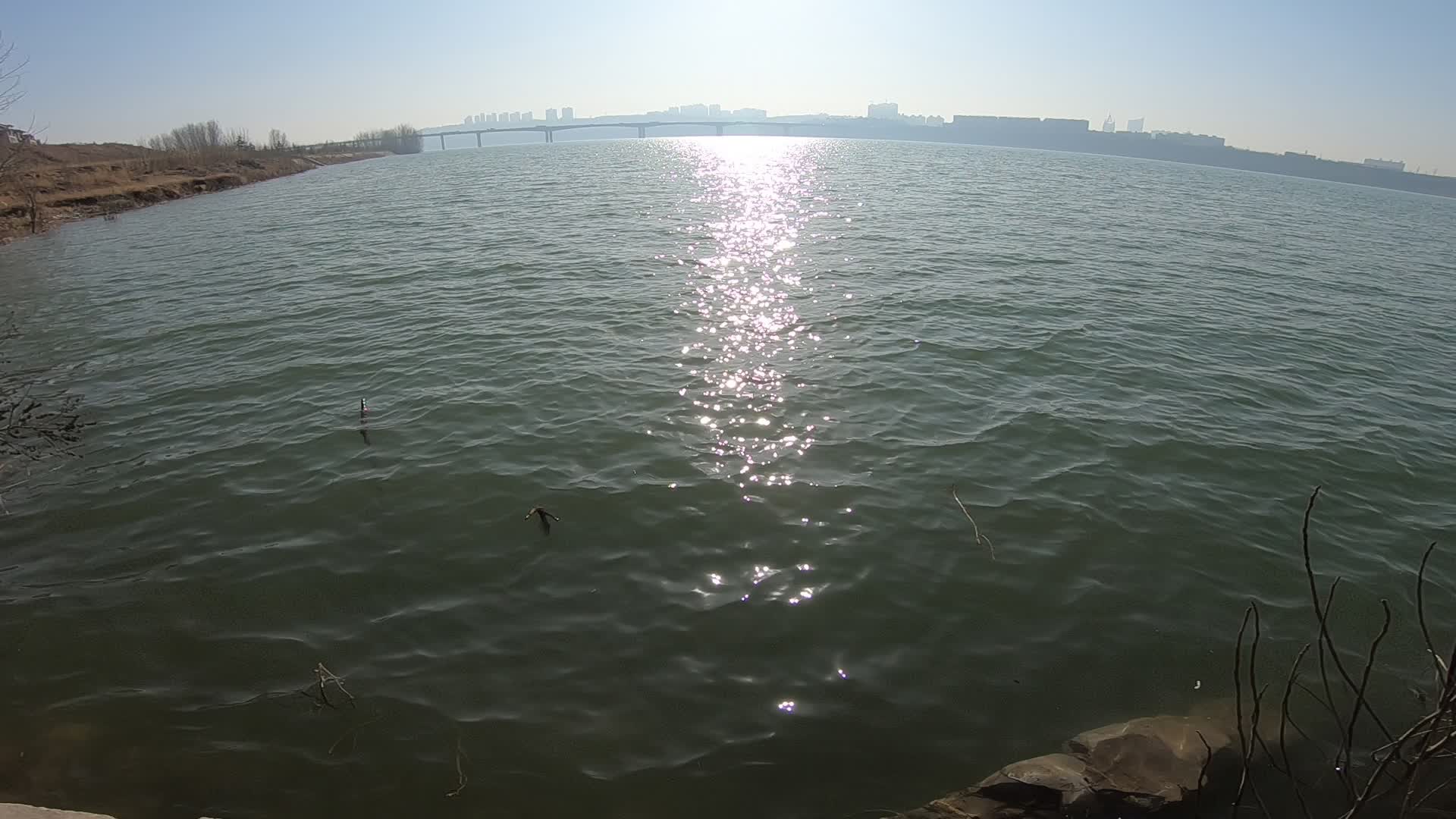 黄河水面实拍视频视频的预览图