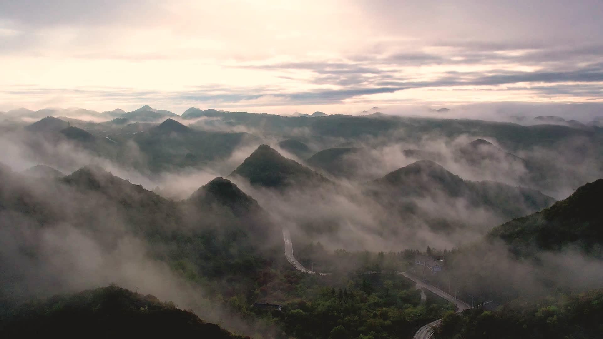 贵州百里杜鹃普底景区视频的预览图