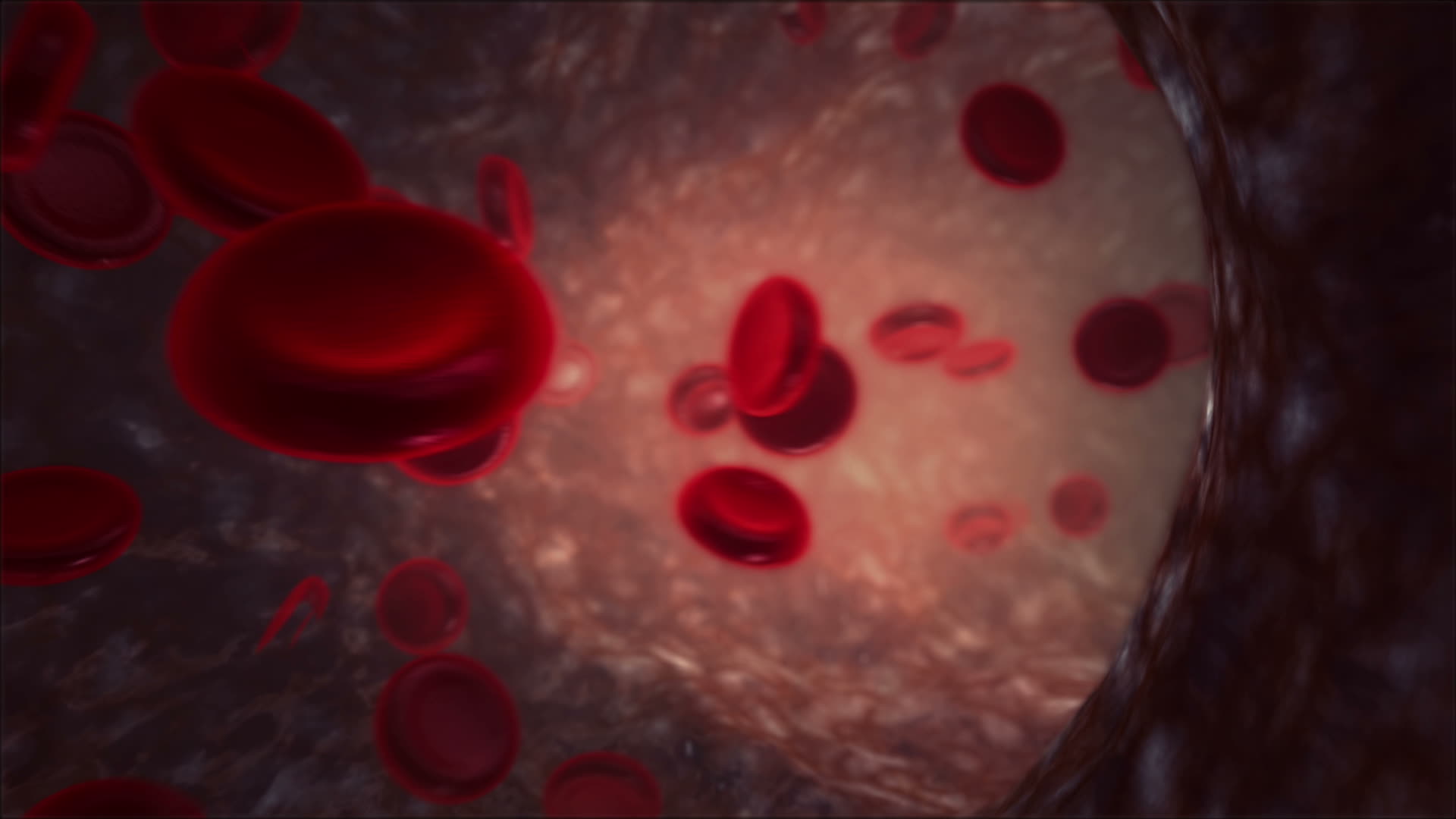 血管内部细胞流动红色细胞视频的预览图