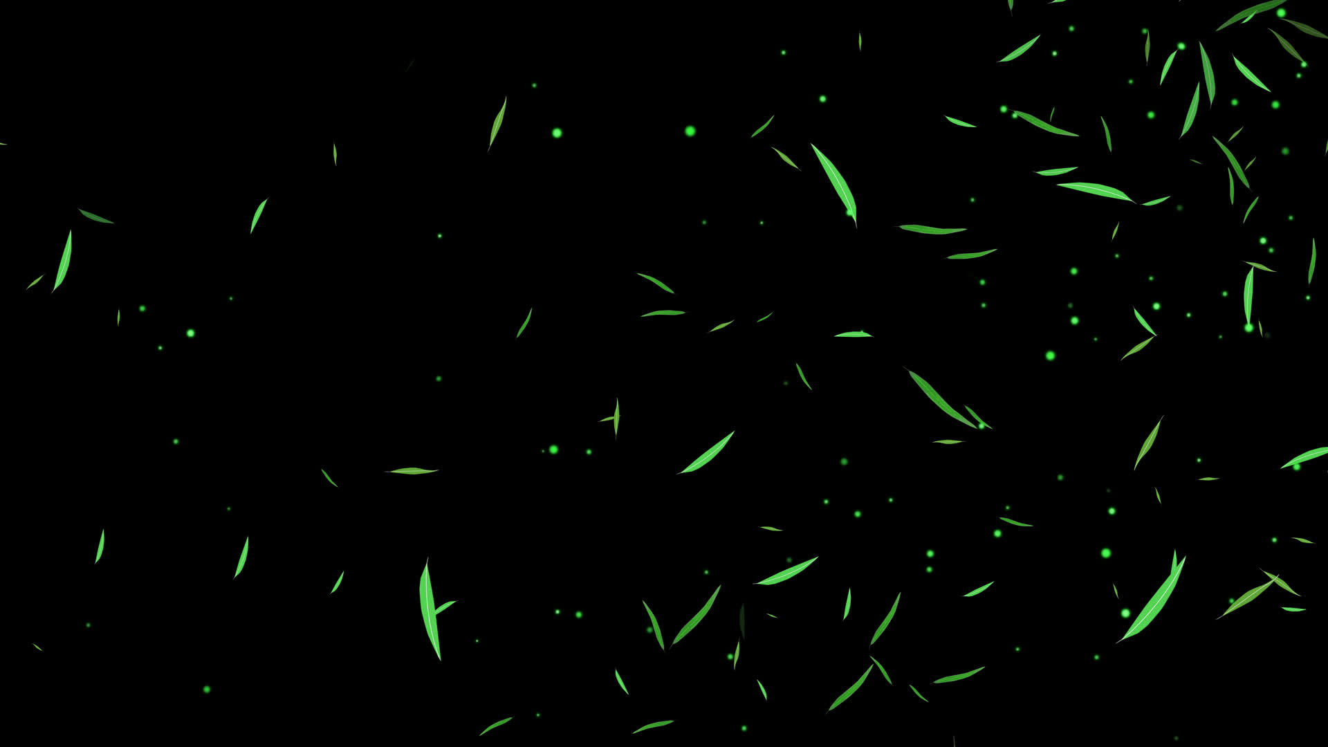 4K柳叶粒子飘扬通道视频循环2视频的预览图