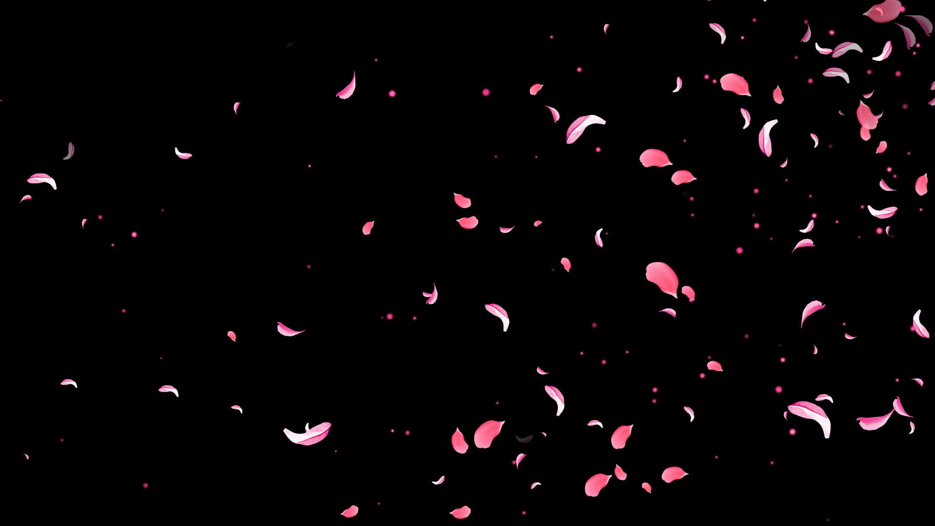 4K桃花粒子飘扬通道视频循环2视频的预览图