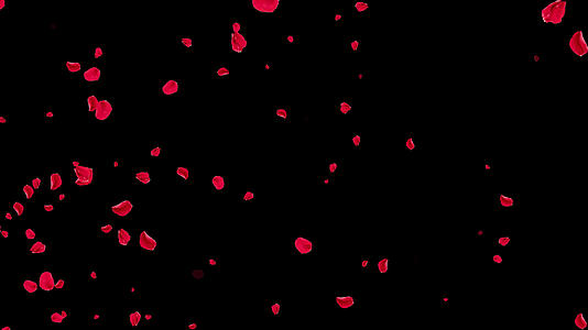 4K红色花瓣粒子飘扬通道视频循环1视频的预览图