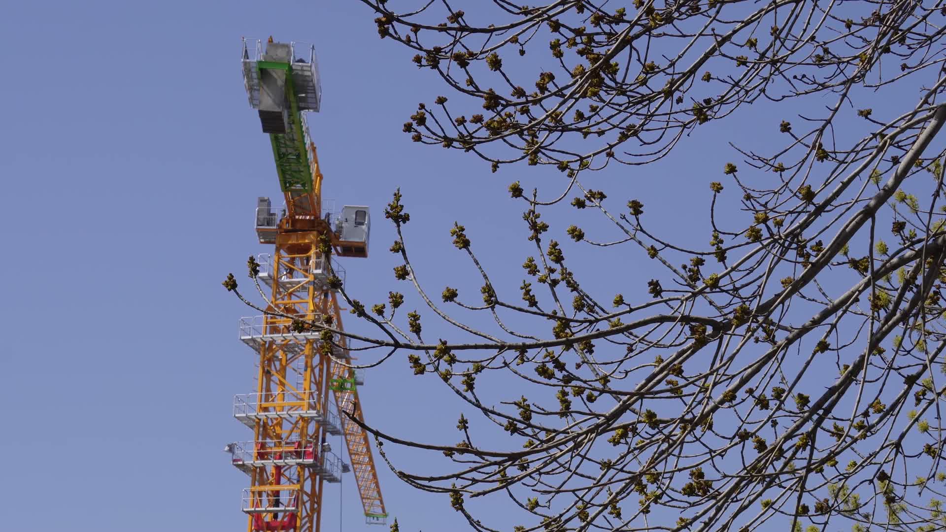 建筑施工工地老吊吊车塔吊视频的预览图
