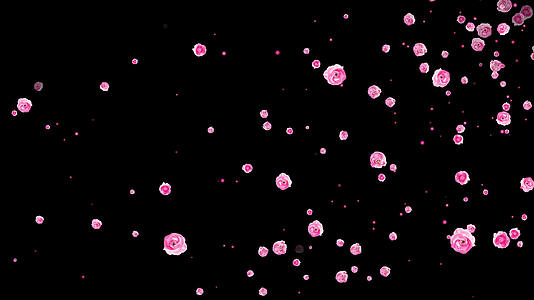 4K粉红花朵粒子飘扬通道视频循环2视频的预览图