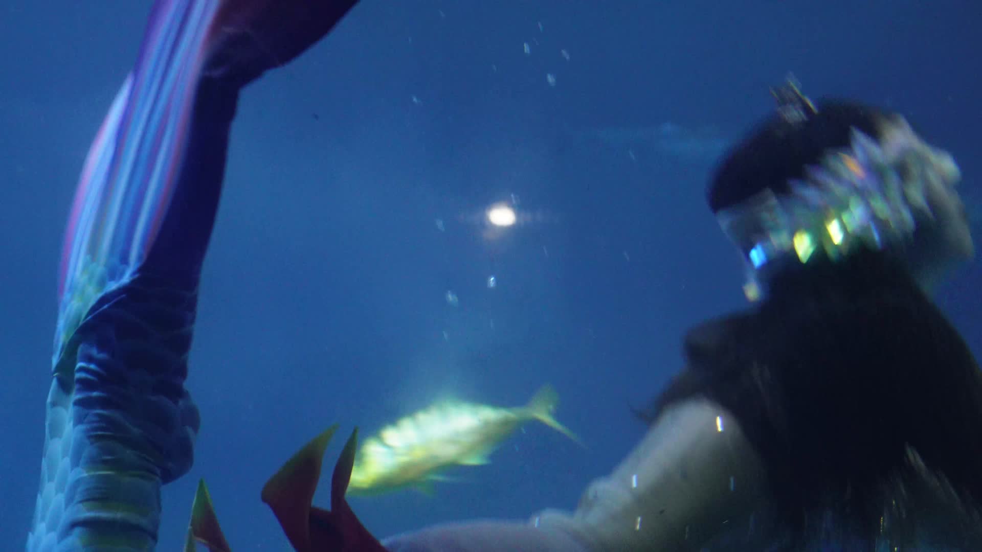 美人鱼表演潜水员海底世界视频的预览图