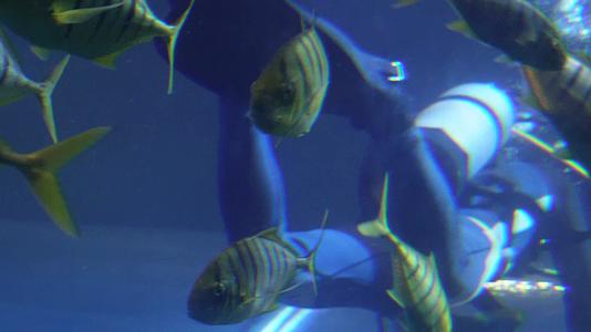 潜水员氧气瓶氧气管海洋作业视频的预览图