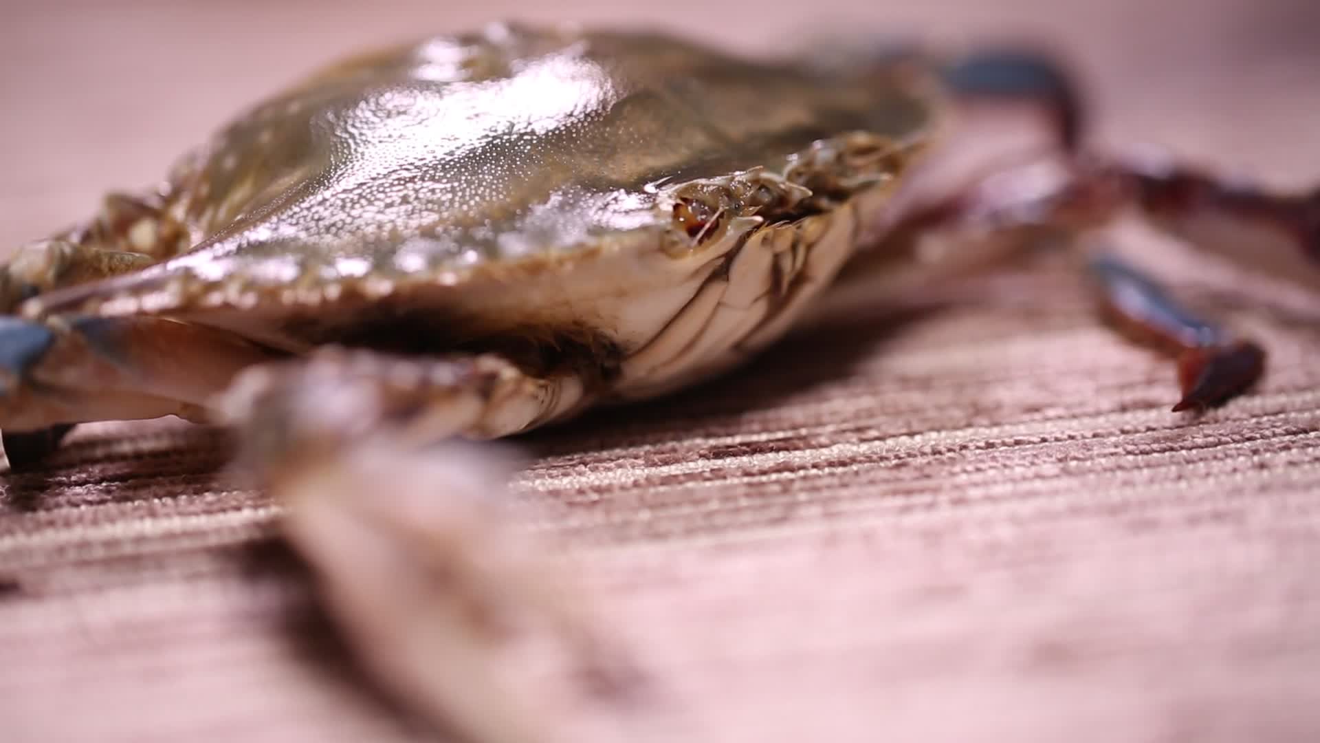 海蟹飞蟹梭子蟹视频的预览图