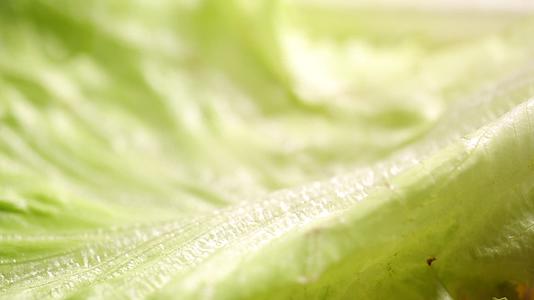 绿色菜叶蔬菜叶子视频的预览图