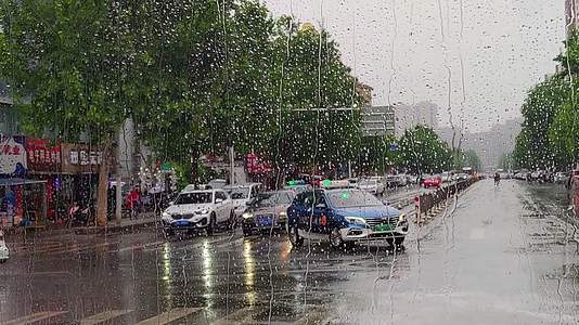 雨中的行人视频的预览图