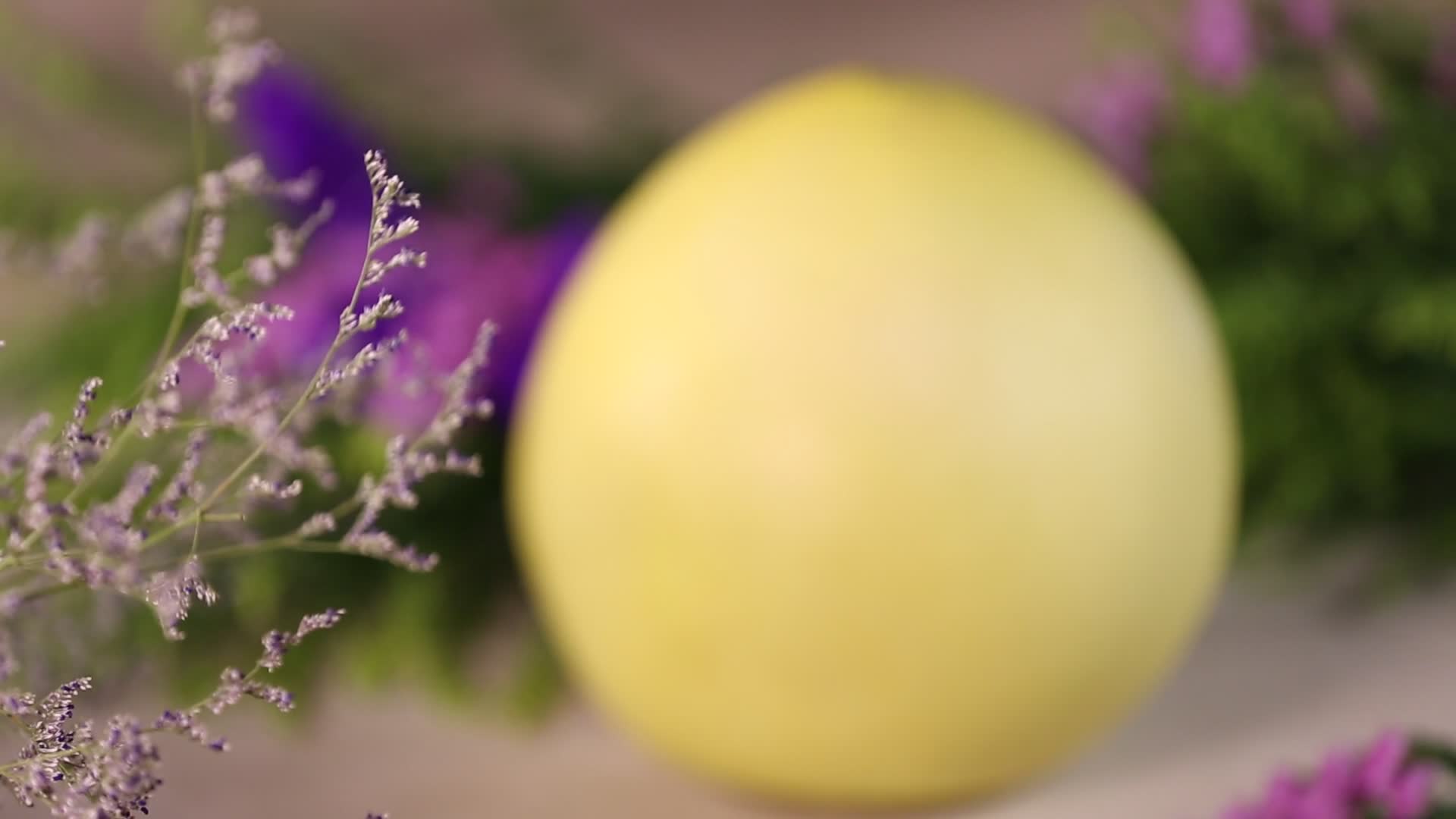 水果柚子葡萄柚视频的预览图