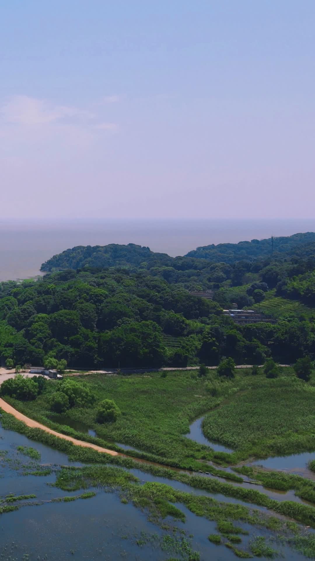 湖南岳阳洞庭湖风光竖屏航拍视频的预览图