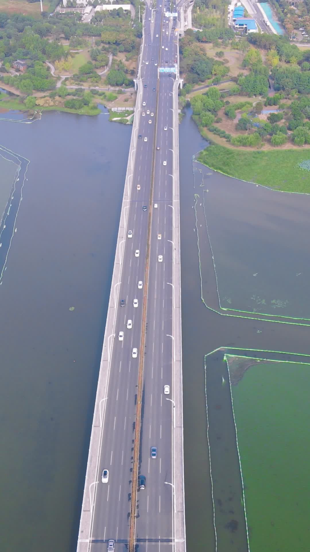 武汉沙湖大桥竖屏航拍视频的预览图