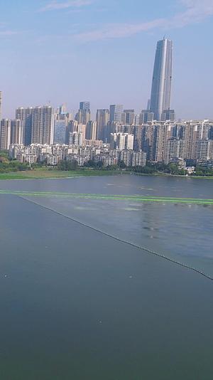 武汉月湖风景区竖屏航拍视频的预览图