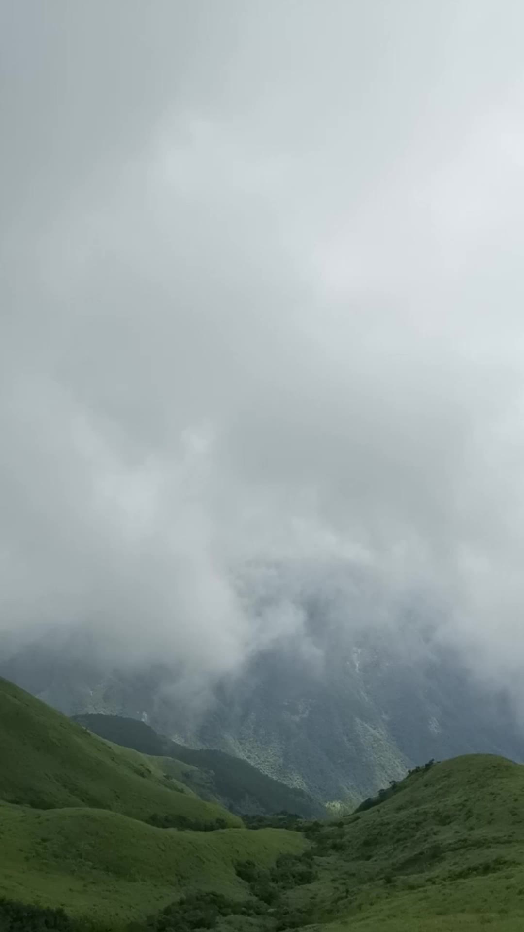武功山草甸山坡自然风光视频的预览图