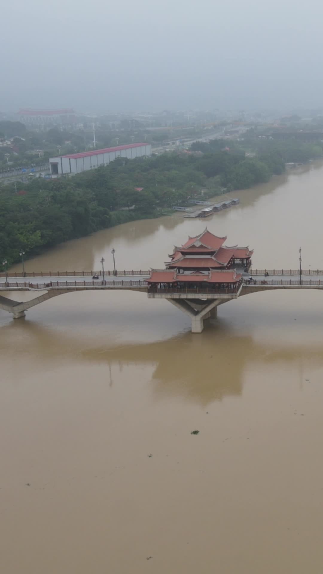 福建漳州南山桥竖屏航拍视频的预览图