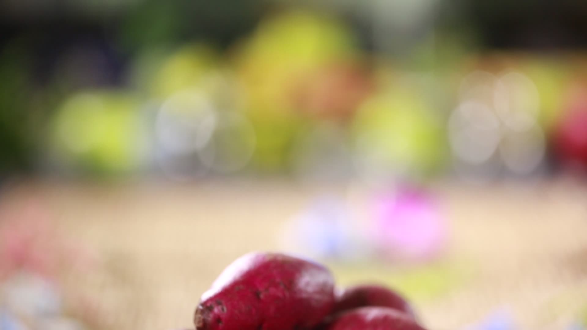 健康粗粮紫薯花青素视频的预览图