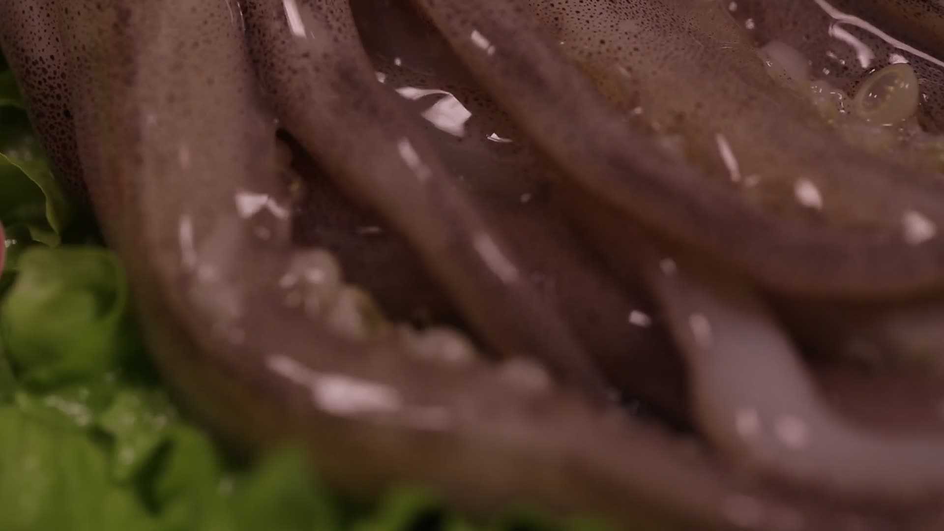 八爪鱼章鱼海鮹视频的预览图