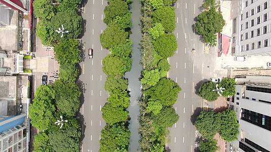 俯拍城市交通绿化视频的预览图