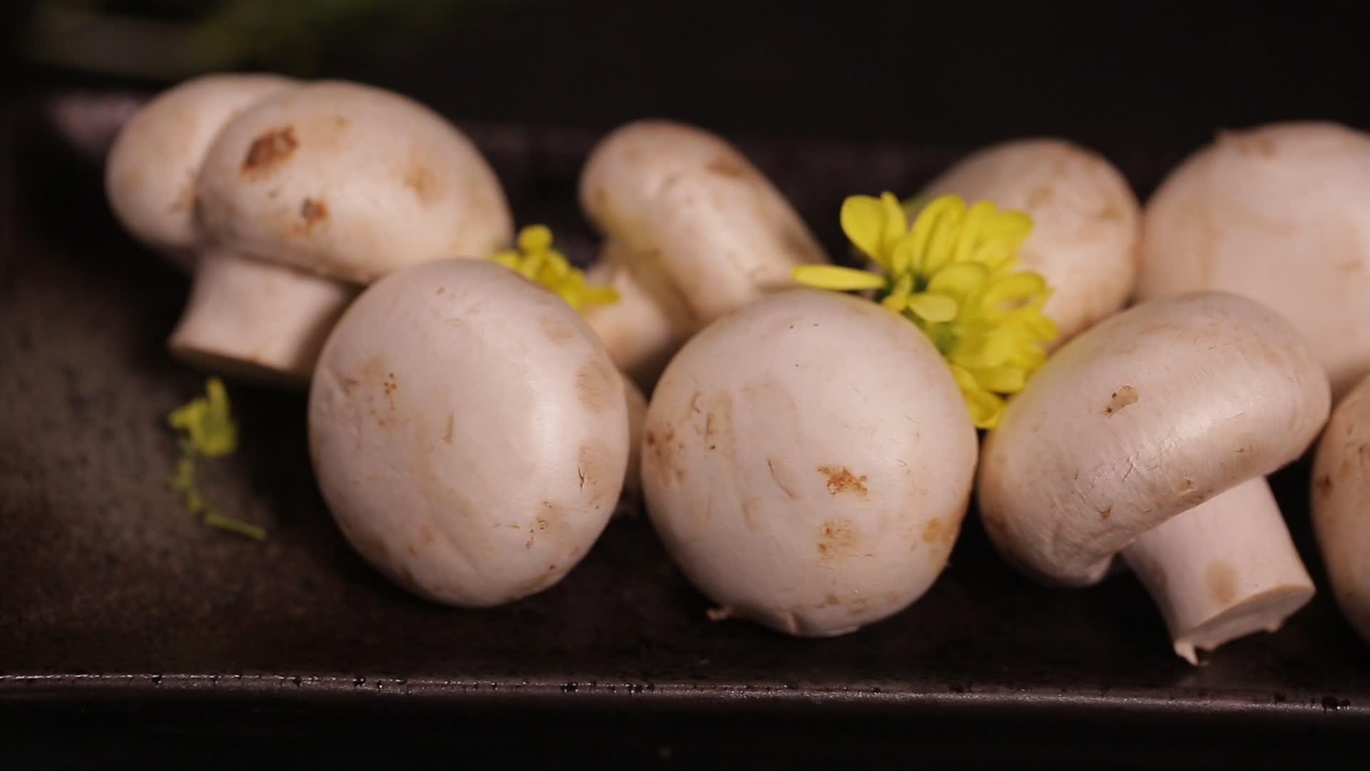 口蘑白蘑菇提鲜食材视频的预览图