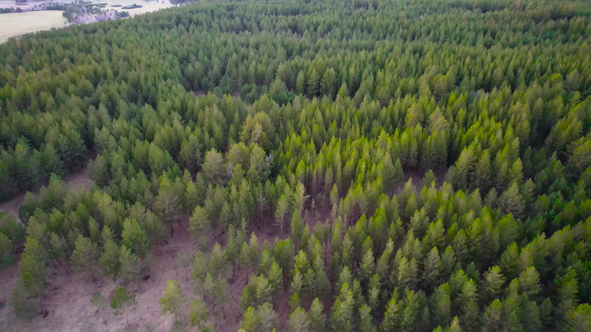 4K航拍阿尔山国家森林公园视频的预览图