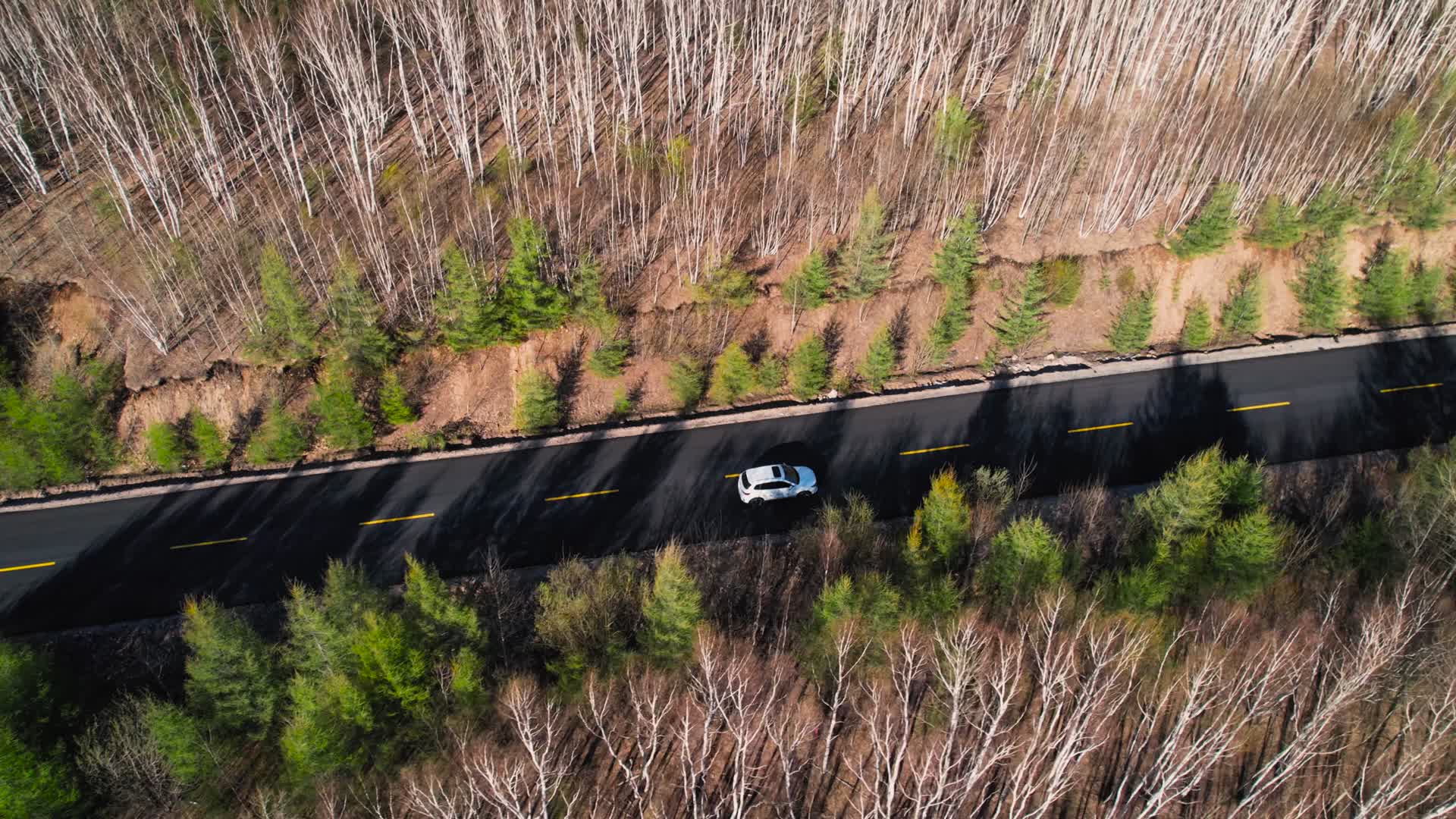 4K航拍汽车在森林公路行驶视频的预览图