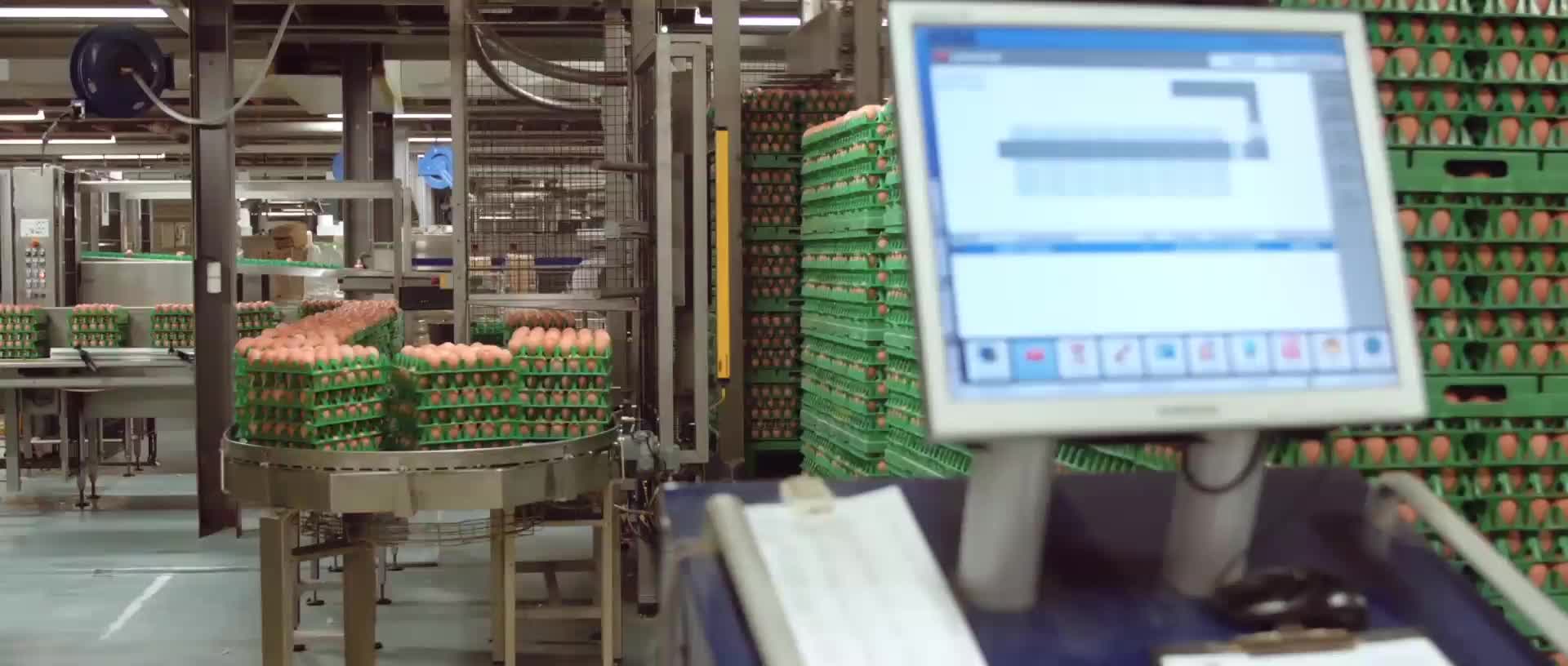 现代化鸡蛋加工厂鸡蛋生产包装制造机械化视频视频的预览图