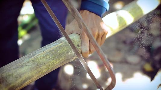 特写手部农民用锯子锯断竹子传统工艺视频视频的预览图