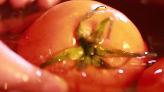 一盆清水浸泡清洗西红柿视频的预览图