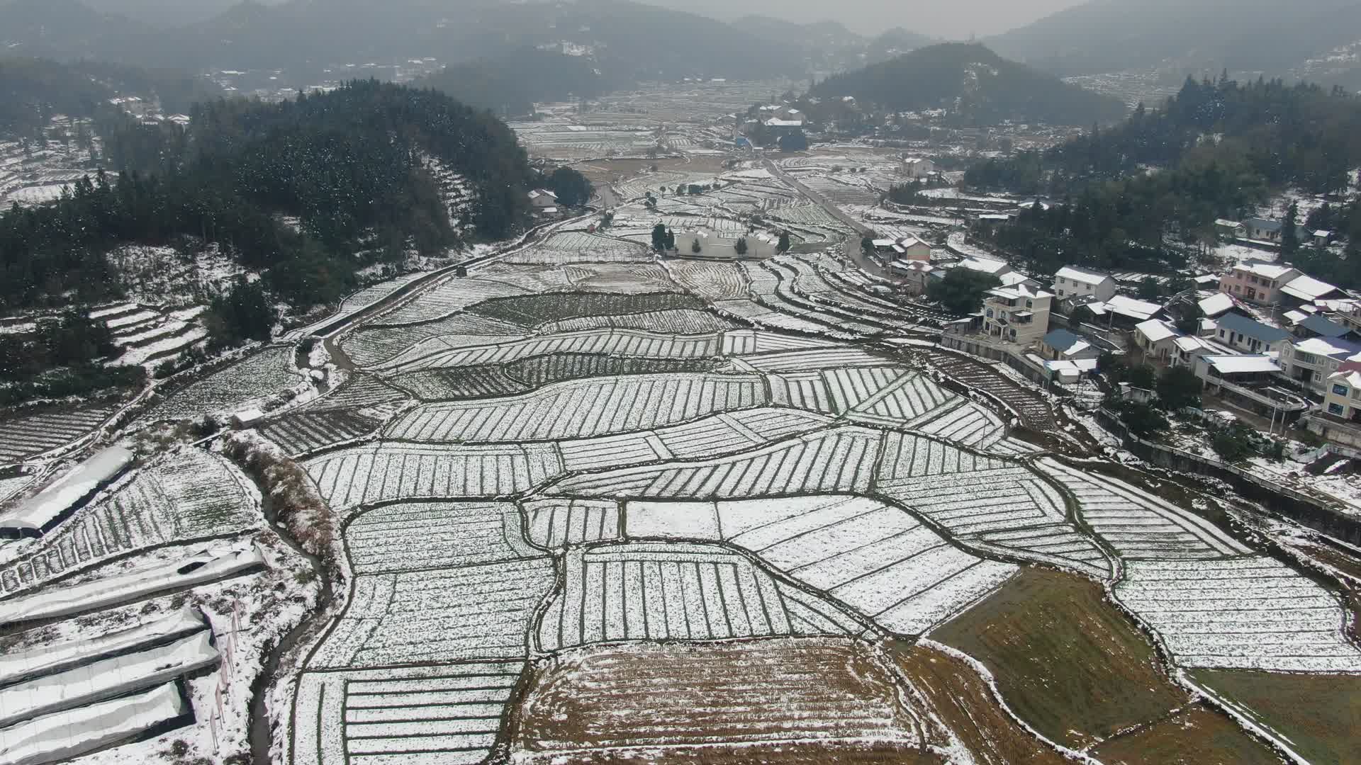 航拍农田农业种植雪景视频的预览图