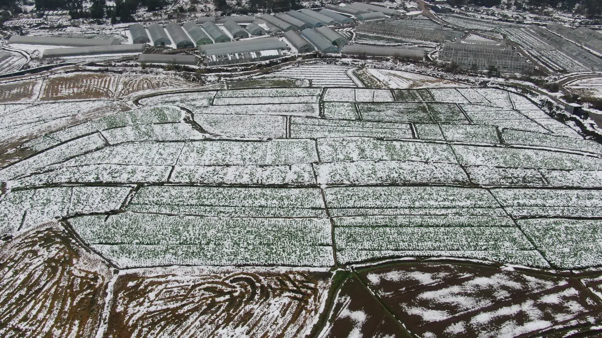 农业种植农作物冬天雪景航拍视频的预览图