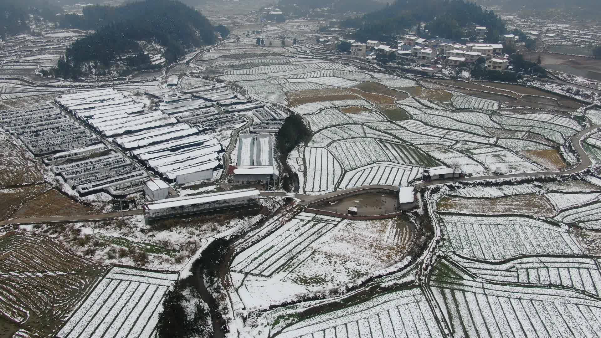 航拍农业种植农田雪景视频的预览图